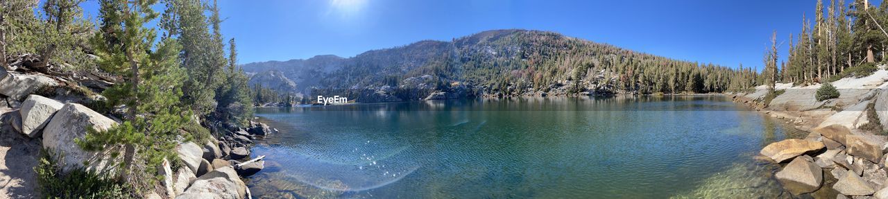 water, scenics - nature, tree, beauty in nature, wilderness, nature, sky, panoramic, plant, body of water, mountain, environment, land, lake, landscape, tranquility, pine tree, tranquil scene, coniferous tree, blue, mountain range, pinaceae, no people, travel destinations, reflection, forest, rock, travel, non-urban scene, pine woodland, outdoors, day, crater lake, idyllic, tourism, sunlight, national park, clear sky
