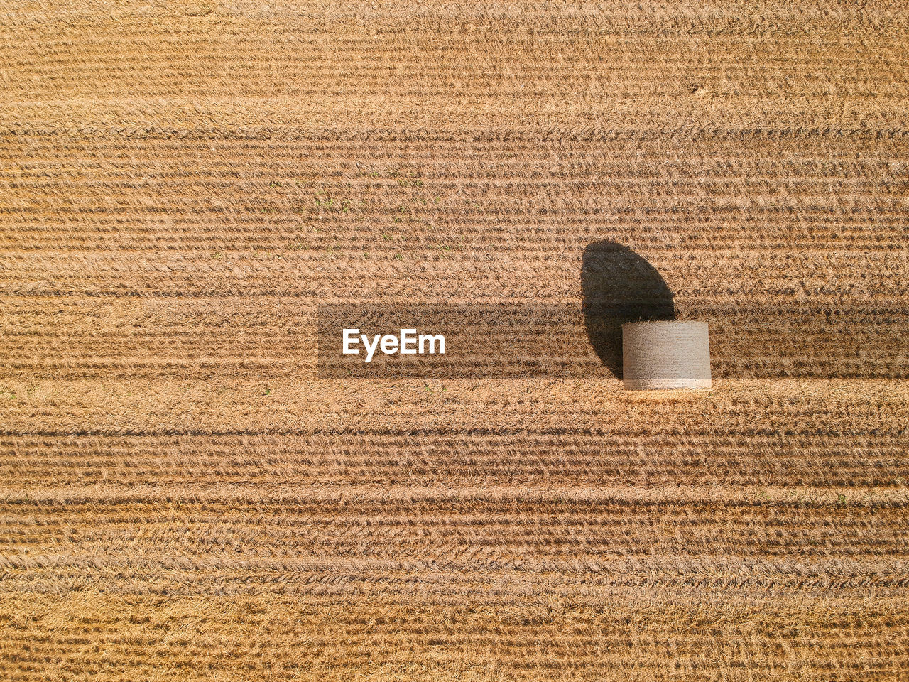 High angle view of hay bale on field