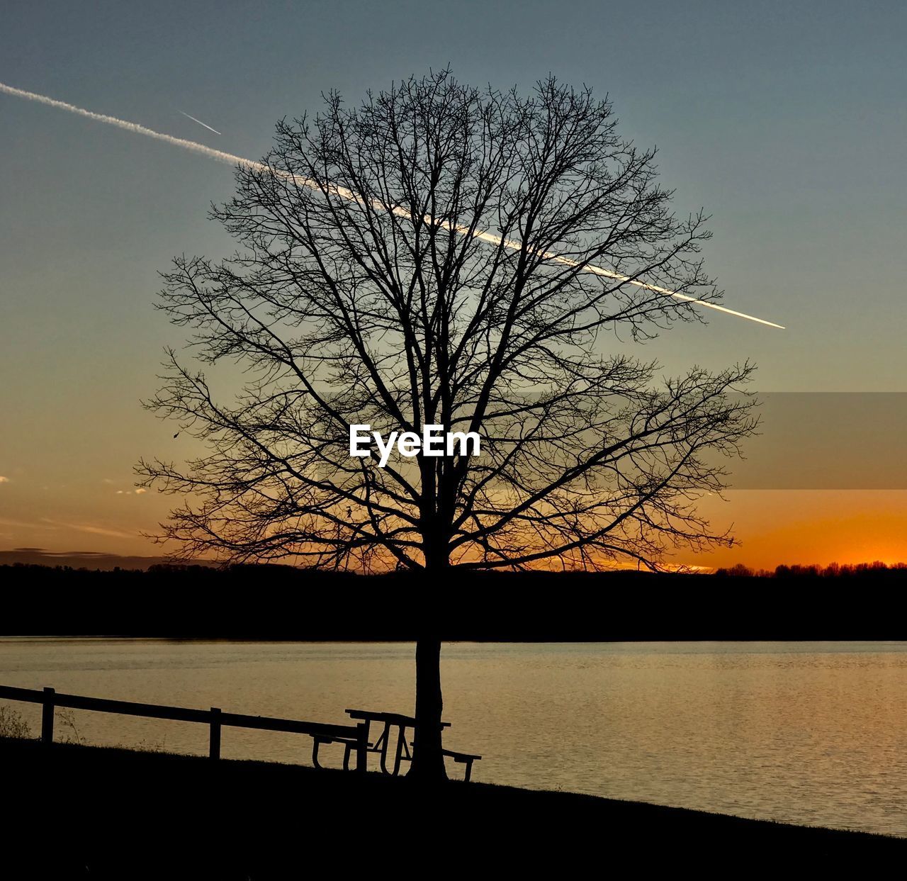 SILHOUETTE TREE BY LAKE AGAINST SKY DURING SUNSET