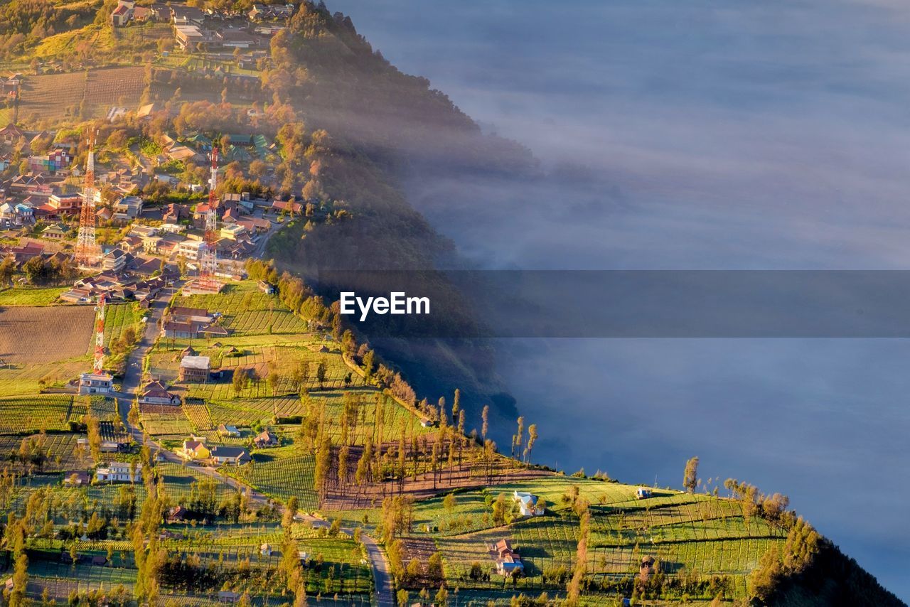 Cemara lawang is is a very small hamlet north-east of mount bromo