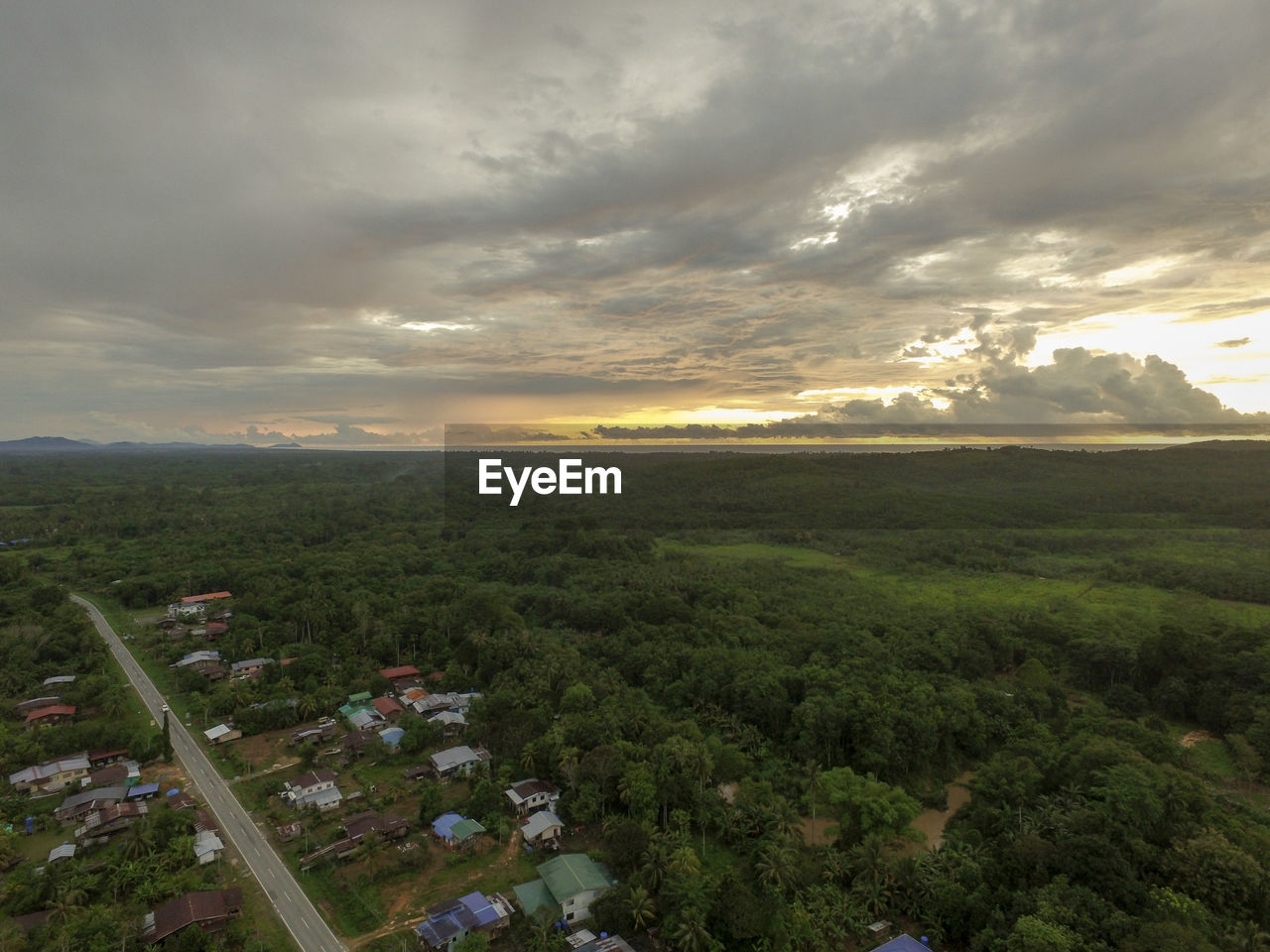 HIGH ANGLE VIEW OF TREES ON FIELD AGAINST SKY