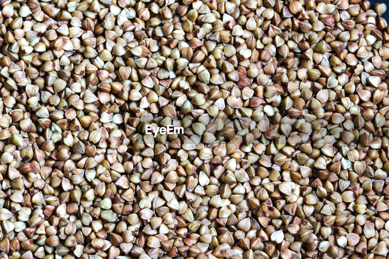 Grain buckwheat, detail texture background, closeup of buckwheat background