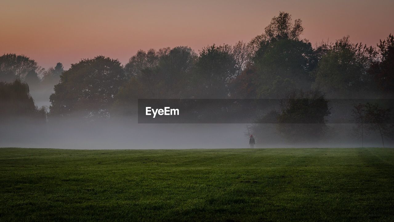 Scenic view of landscape against clear sky during sunset in foggy weather