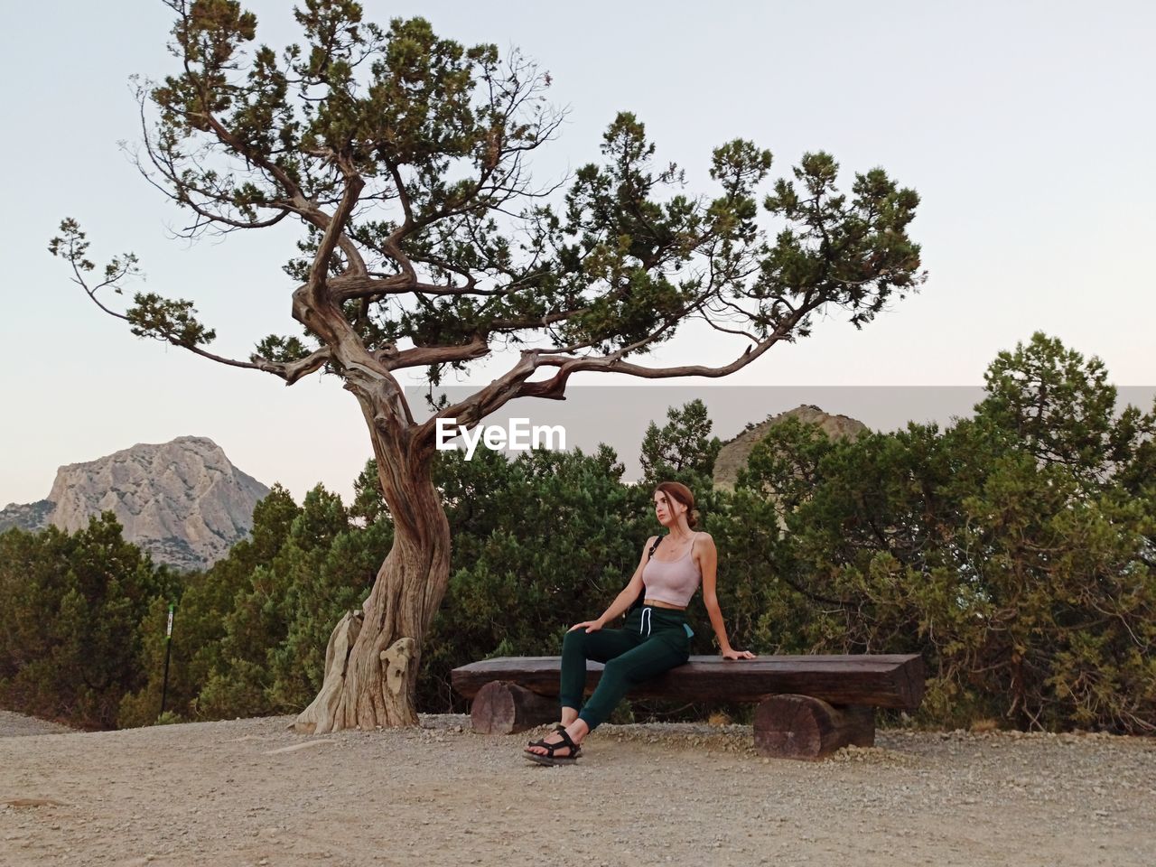 Young woman sitting on bench against trees