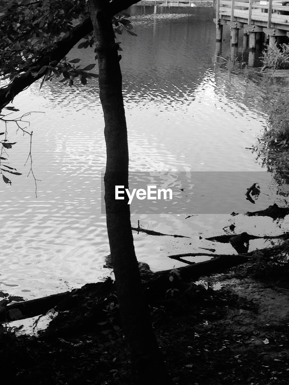 VIEW OF CALM LAKE