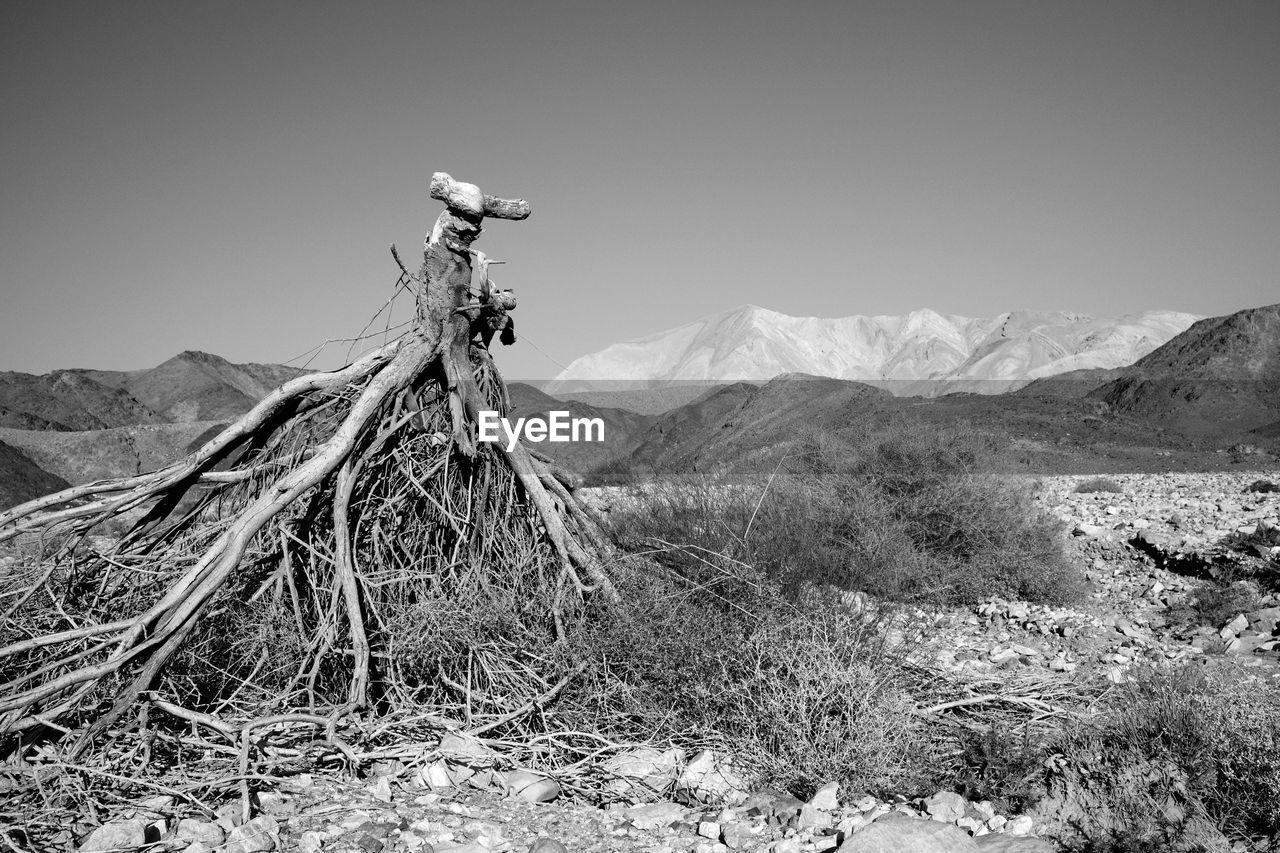 mountain, black and white, monochrome photography, monochrome, landscape, environment, scenics - nature, nature, sky, mountain range, land, beauty in nature, wilderness, snow, no people, non-urban scene, day, desert, white, rock, winter, outdoors, tranquil scene, travel destinations, tranquility, extreme terrain, clear sky, travel, mountain peak, remote, plant, rural scene