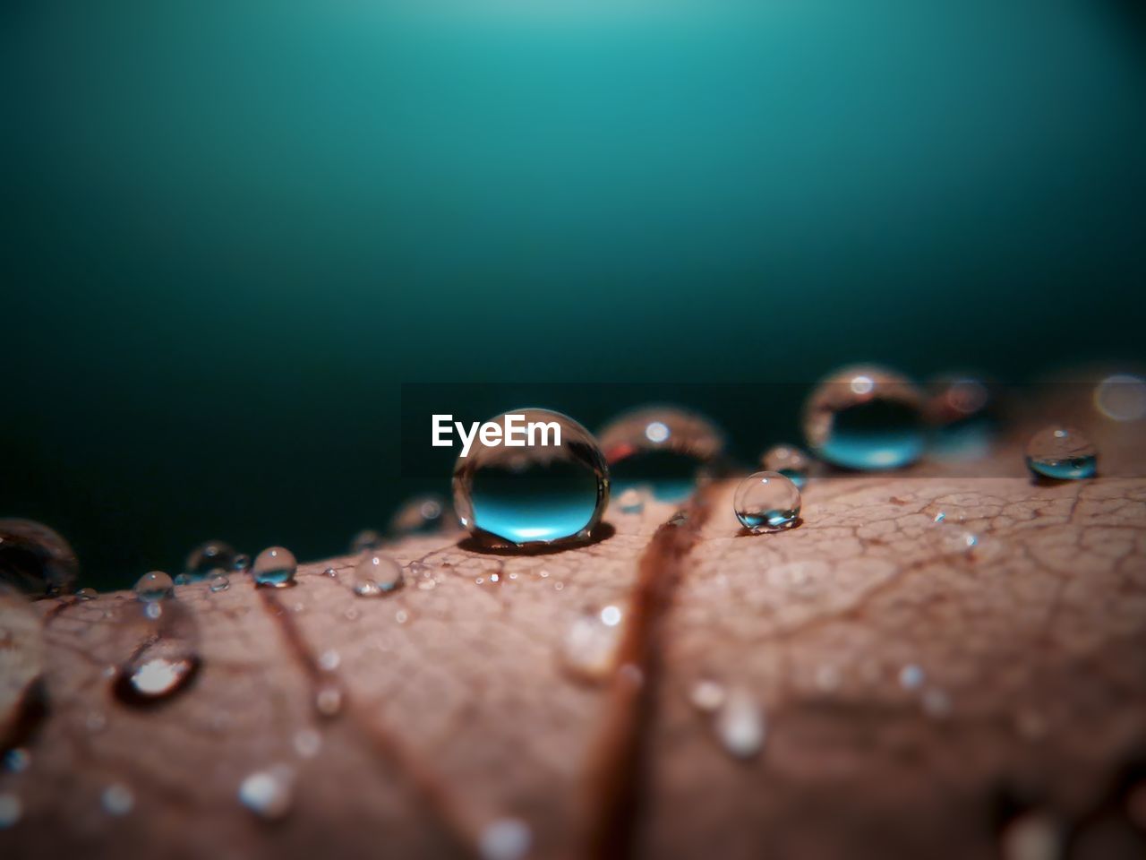 CLOSE-UP OF WATER DROPS ON GLASS