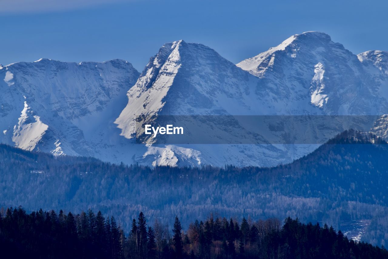 Scenic view of forest and snowcapped mountains against sky