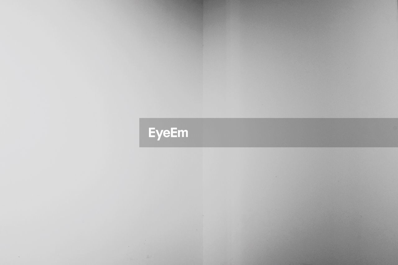 backgrounds, no people, indoors, day, close-up