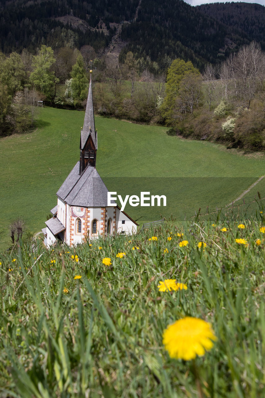 SCENIC VIEW OF GRASSY FIELD AGAINST BUILDING