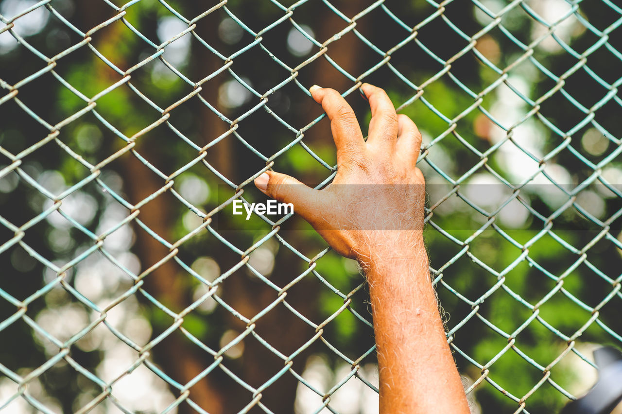 Close-up of man holding chainlink fence