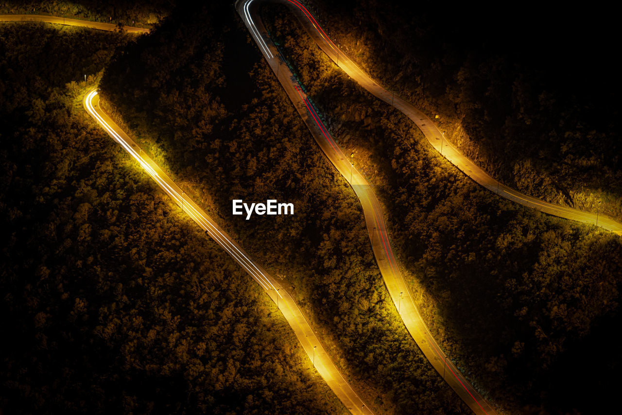 Light trails on road amidst trees at night