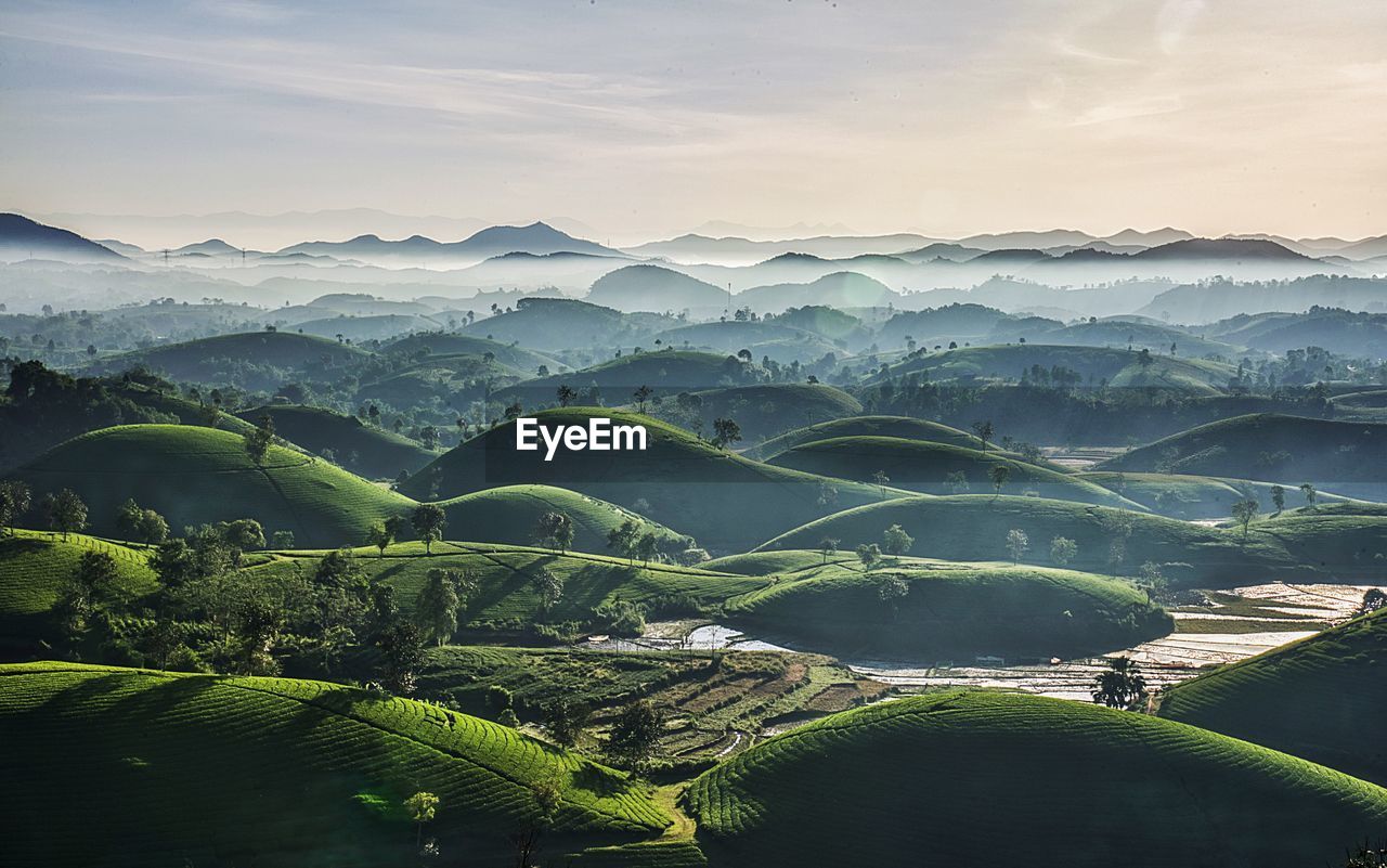 Scenic view of green landscape against sky