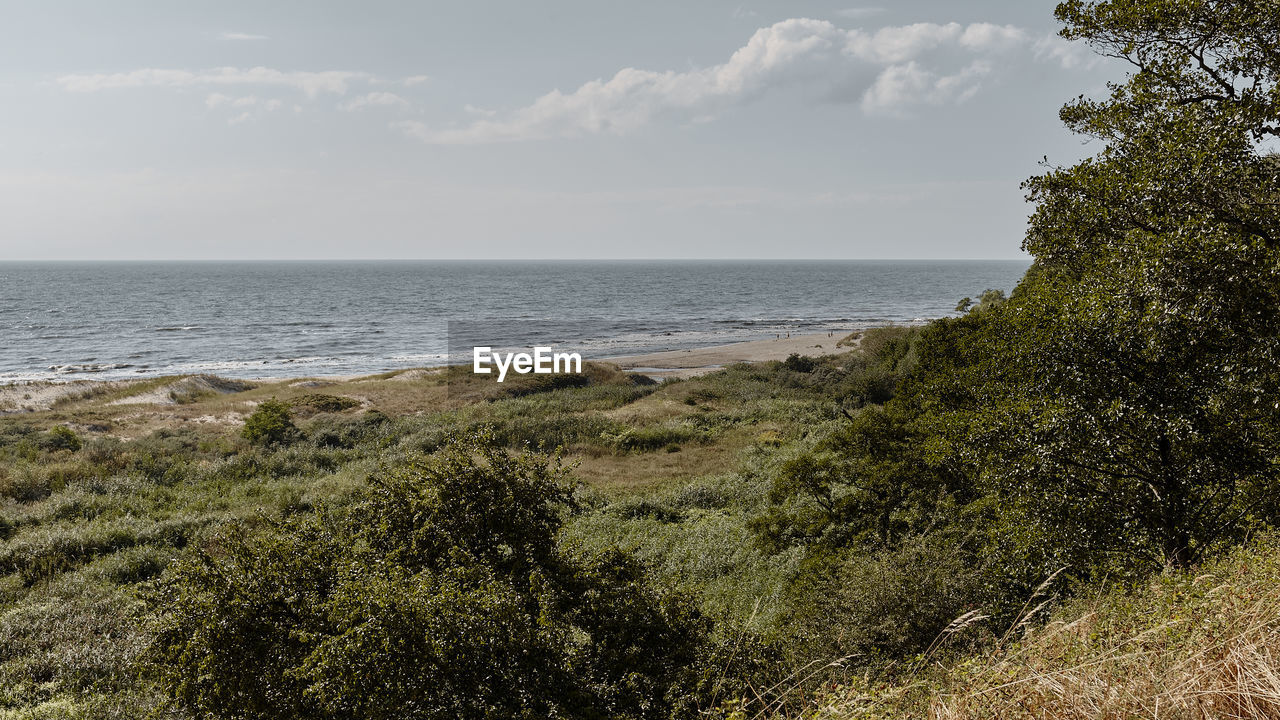 sea, water, sky, land, plant, beach, horizon over water, beauty in nature, coast, scenics - nature, shore, horizon, nature, rock, tranquility, cloud, ocean, body of water, tranquil scene, tree, no people, cliff, landscape, day, terrain, growth, grass, hill, outdoors, non-urban scene, environment, natural environment, bay, idyllic, sand, coastline