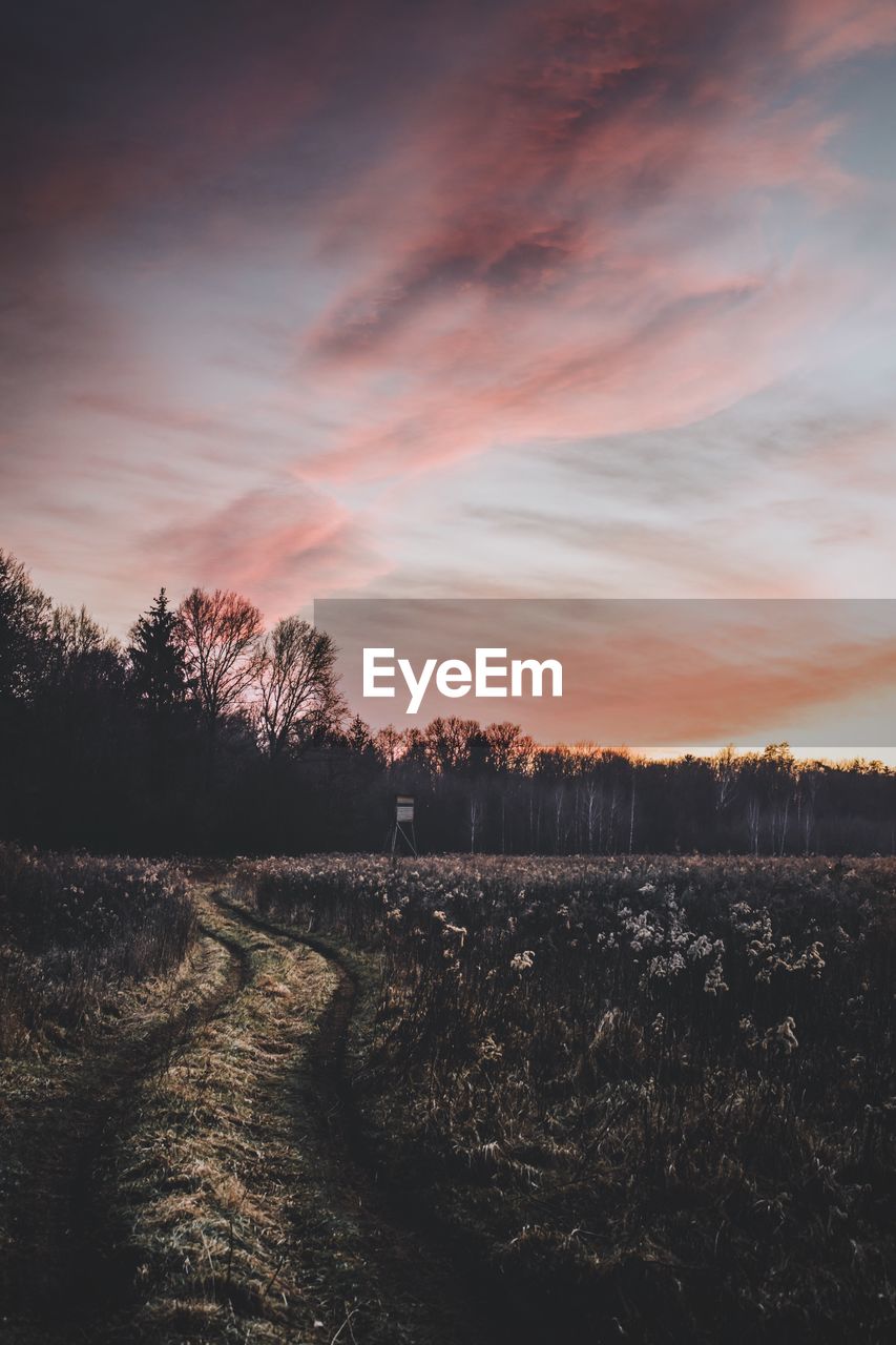 Scenic view of field against sky during sunset