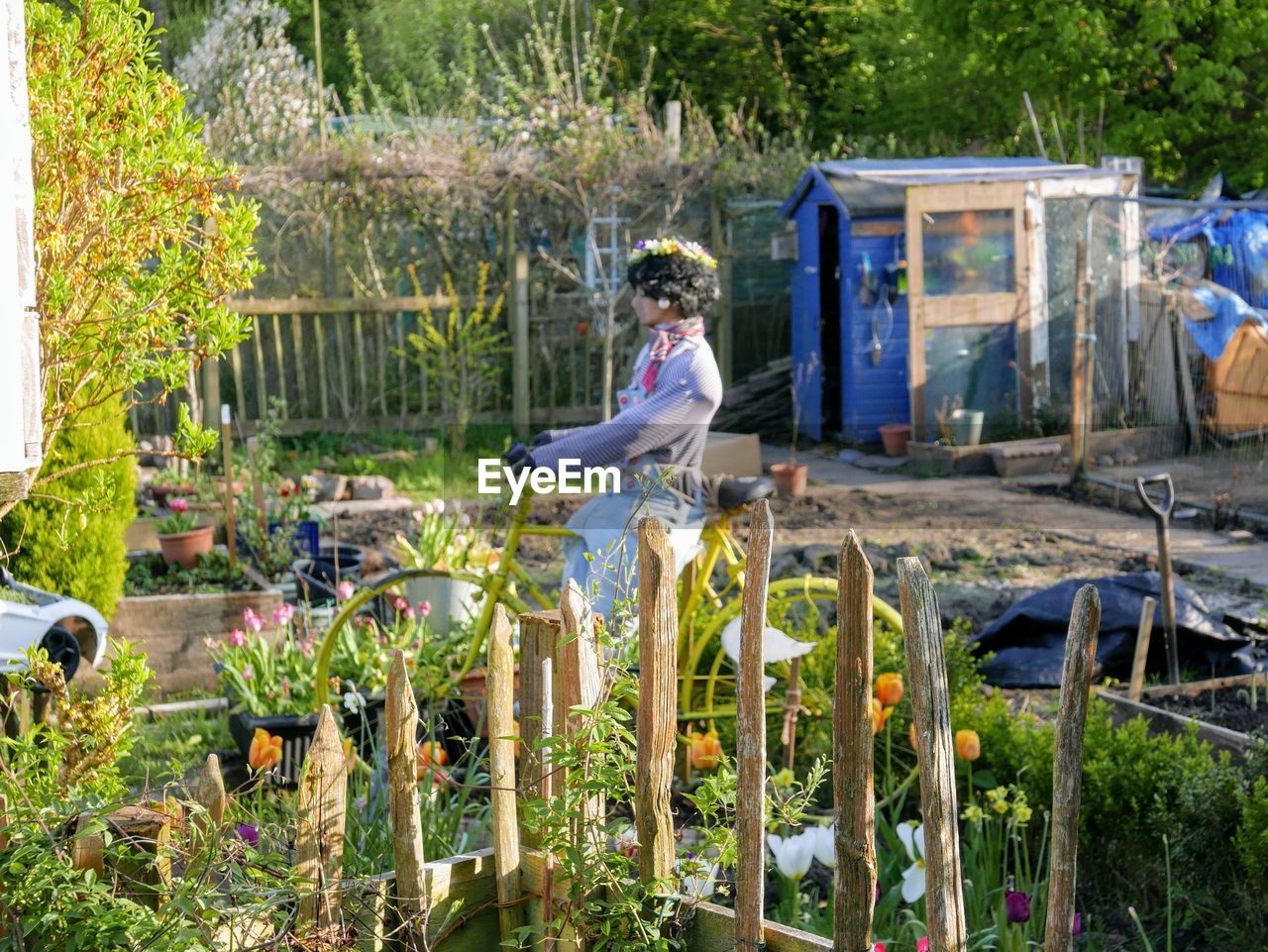 WOMAN SITTING ON PLANTS