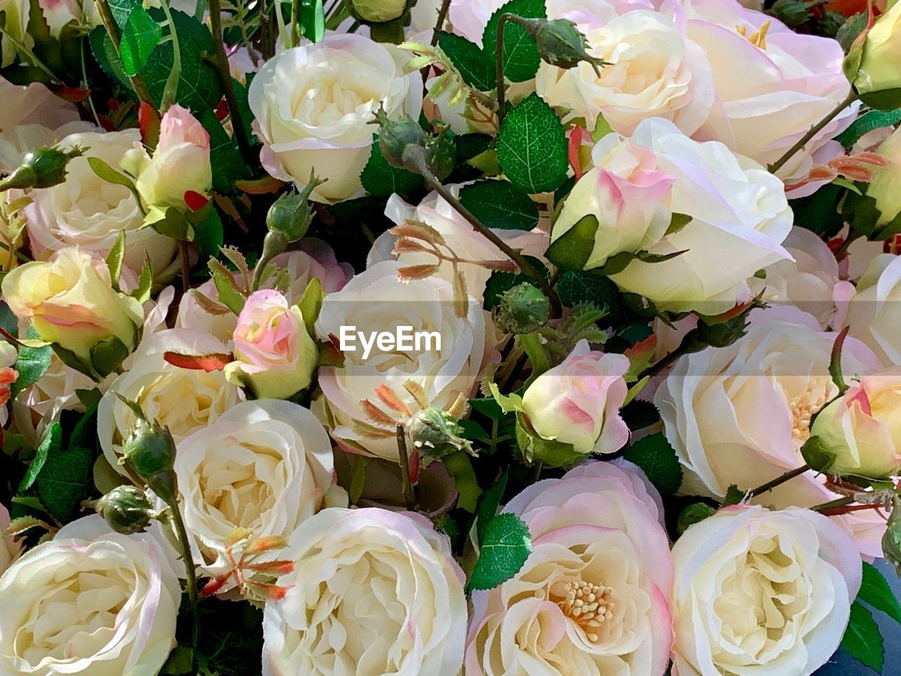 Full frame shot of bouquet