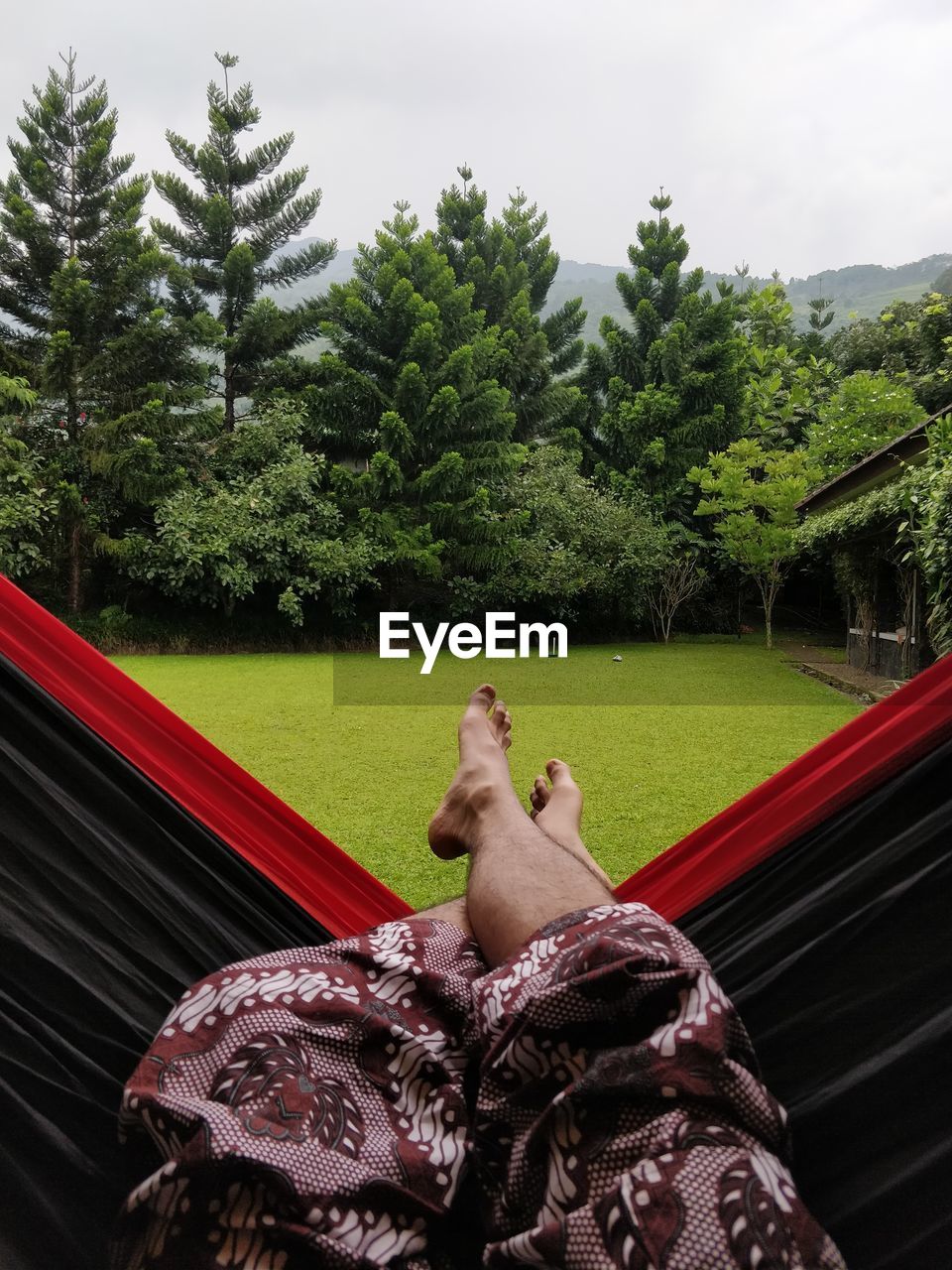 Low section of man relaxing on hammock against trees