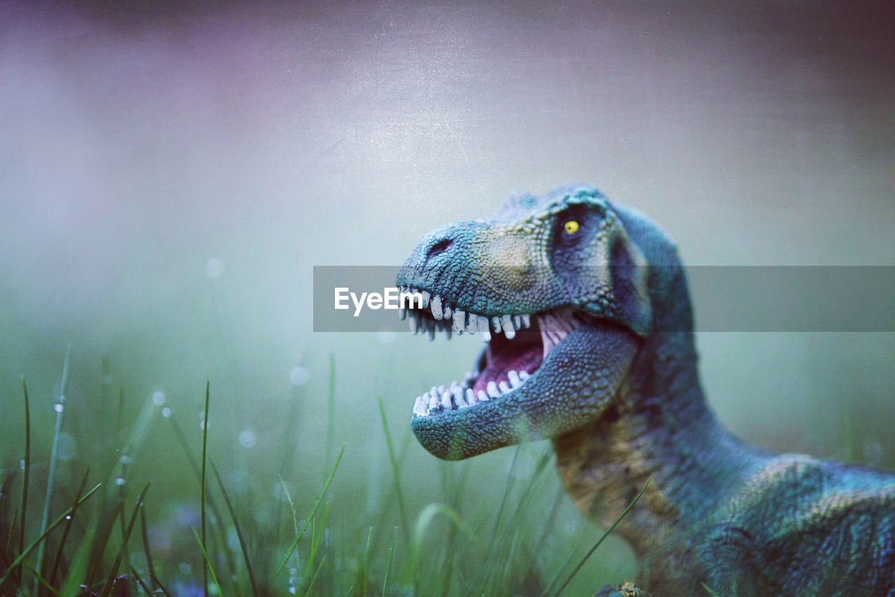 Close-up of dinosaur on field