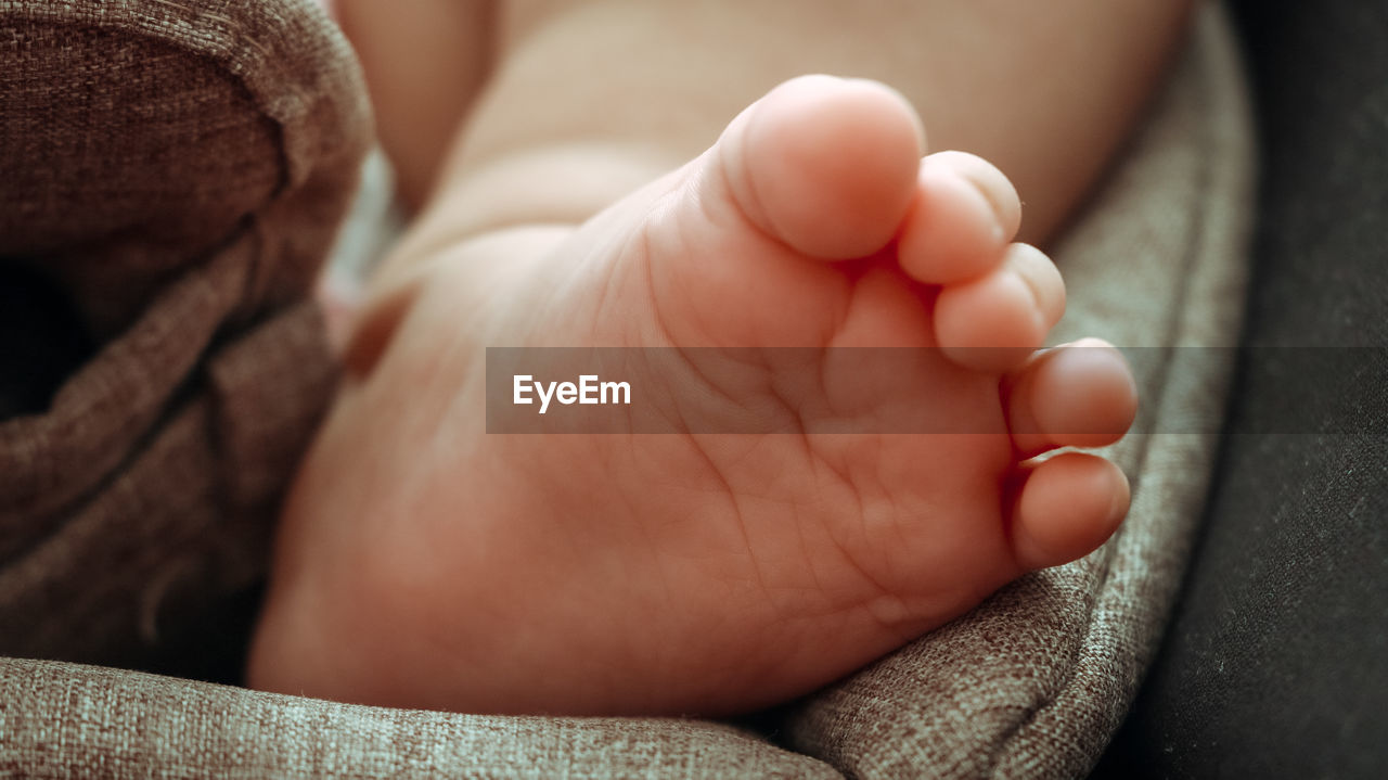 Close-up of baby feet