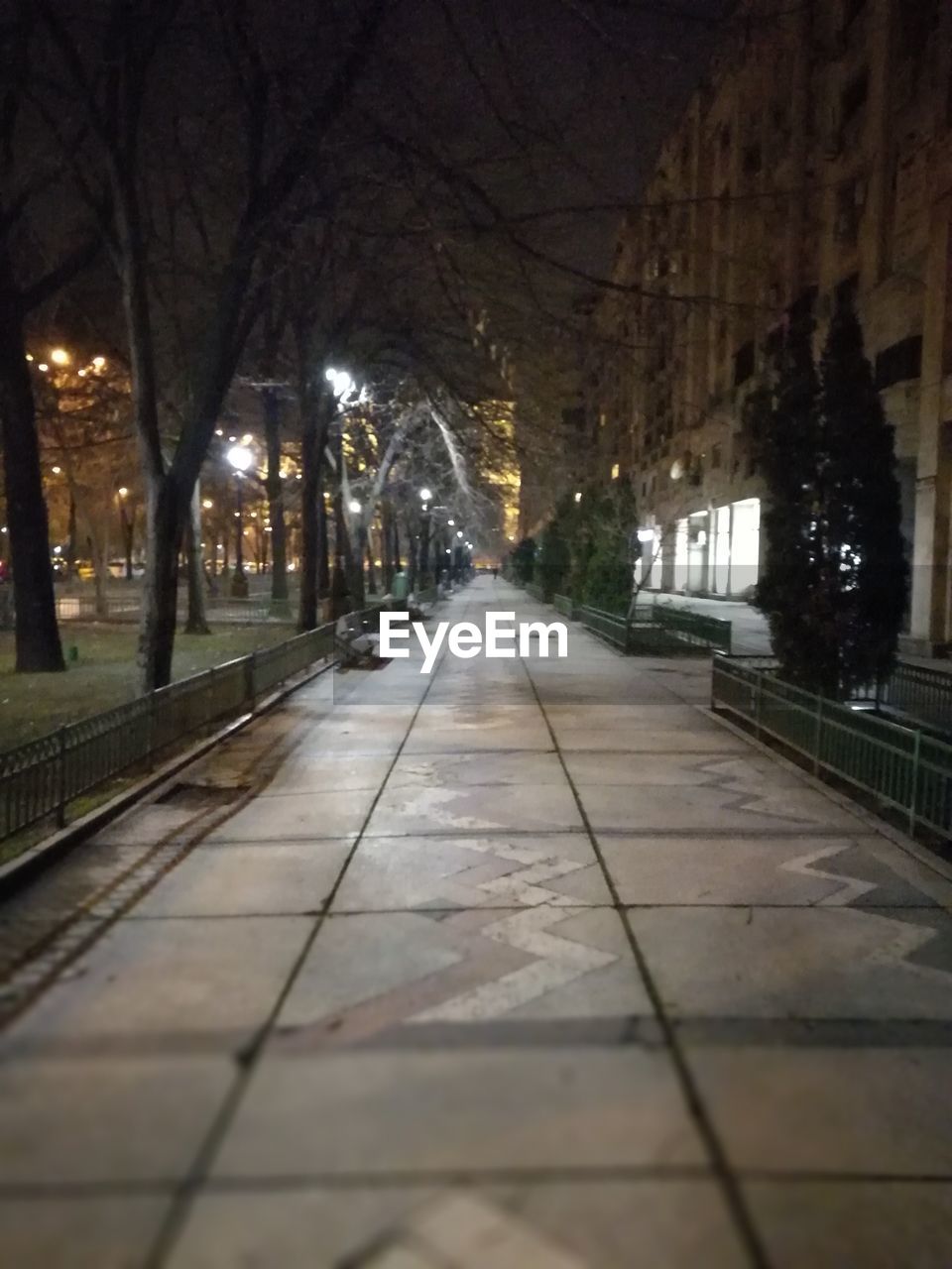 ILLUMINATED WALKWAY AT NIGHT