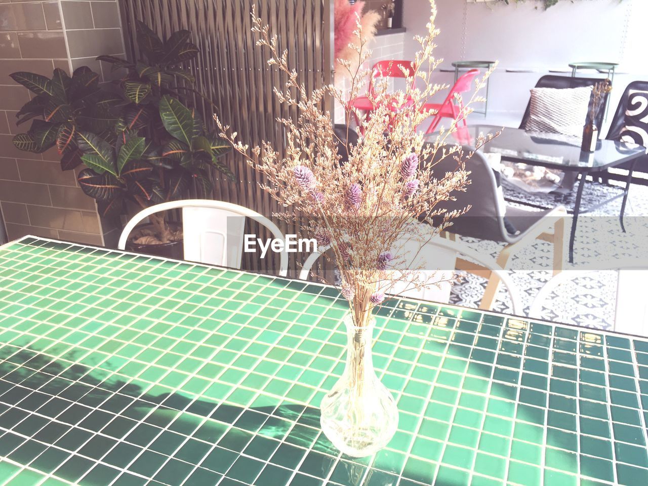 CLOSE-UP OF POTTED PLANTS BY WINDOW