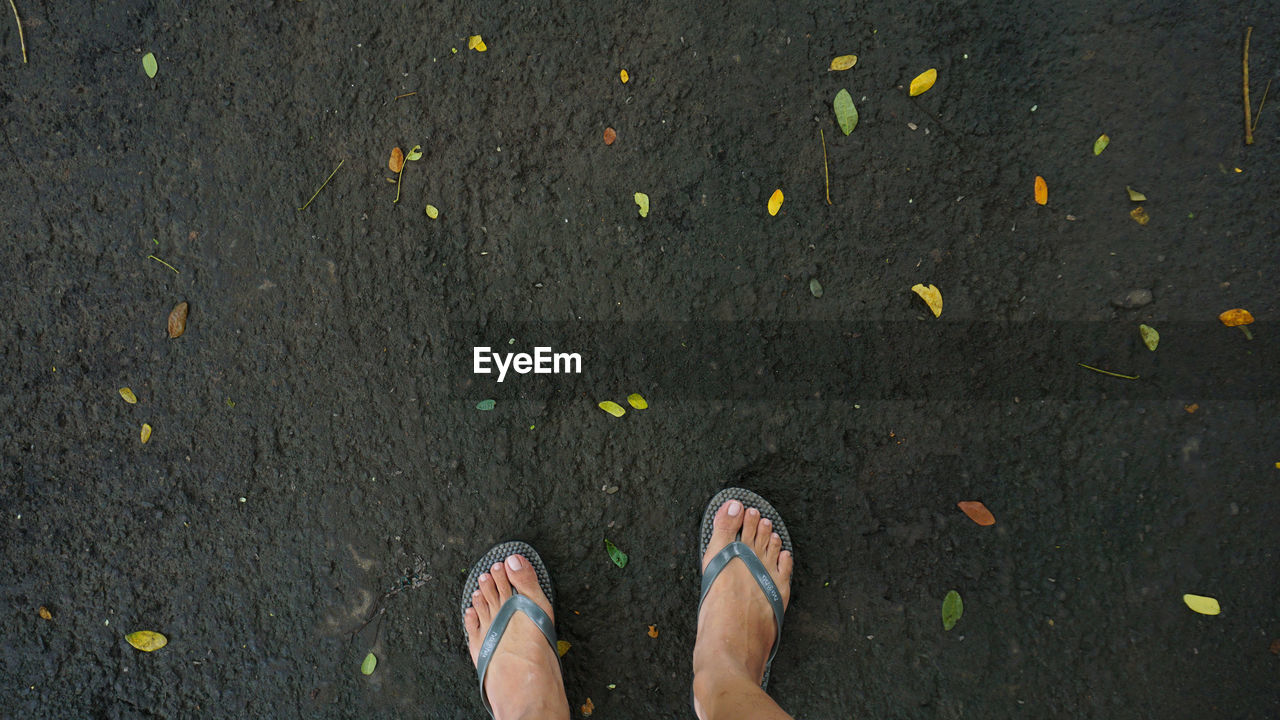 LOW SECTION VIEW OF WOMAN STANDING ON GROUND