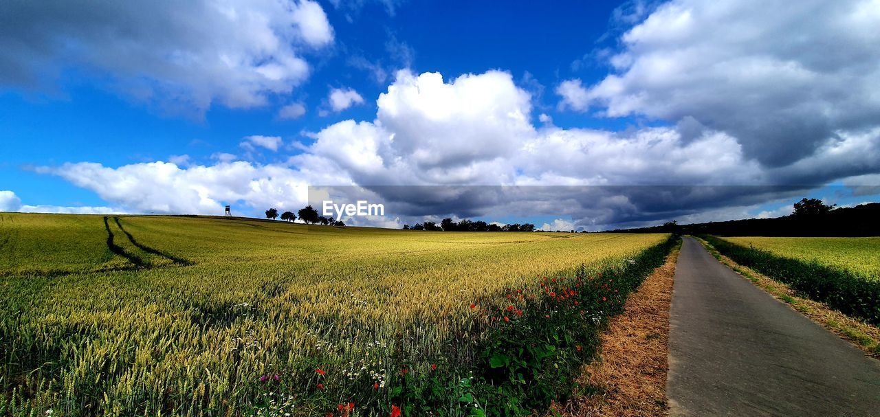 PANORAMIC VIEW OF AGRICULTURAL FIELD AGAINST SKY