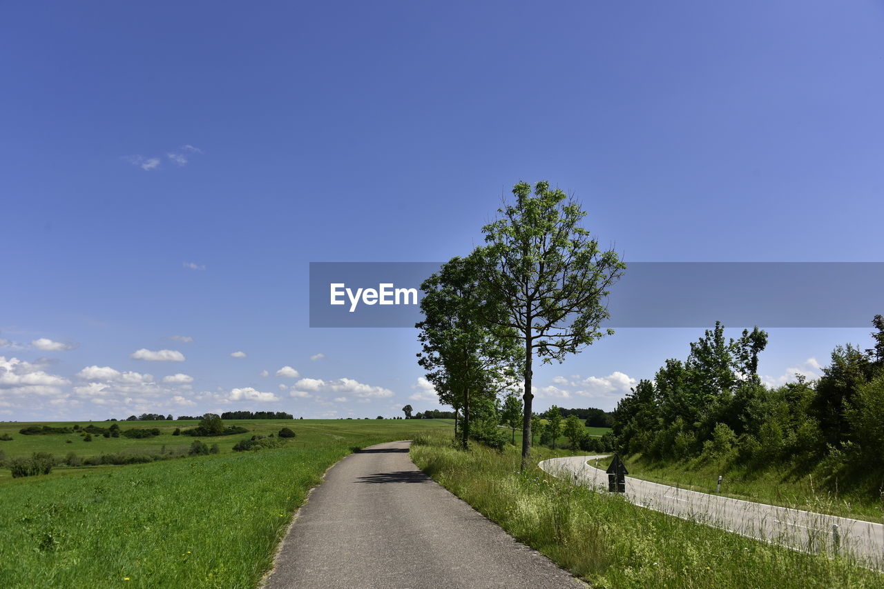 EMPTY ROAD AMIDST TREES AGAINST SKY