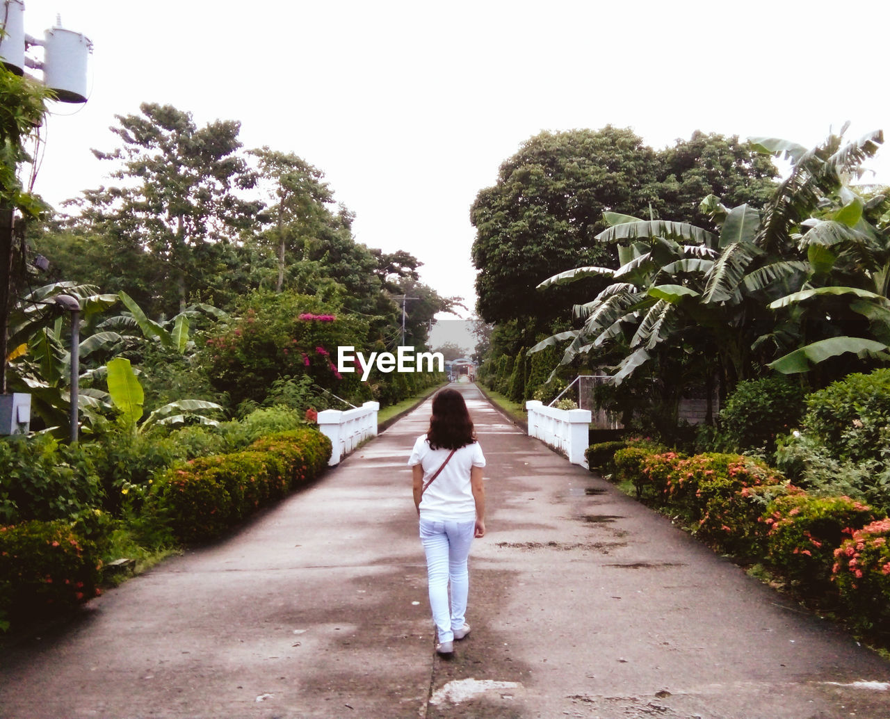 REAR VIEW OF WOMAN STANDING ON ROAD AGAINST TREES