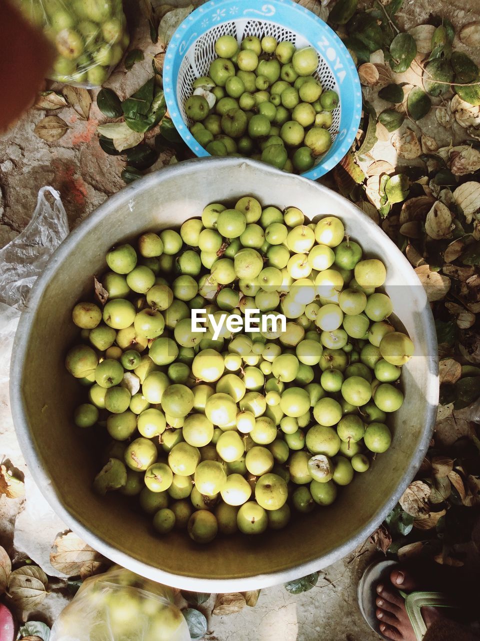 High angle view of fruits in container