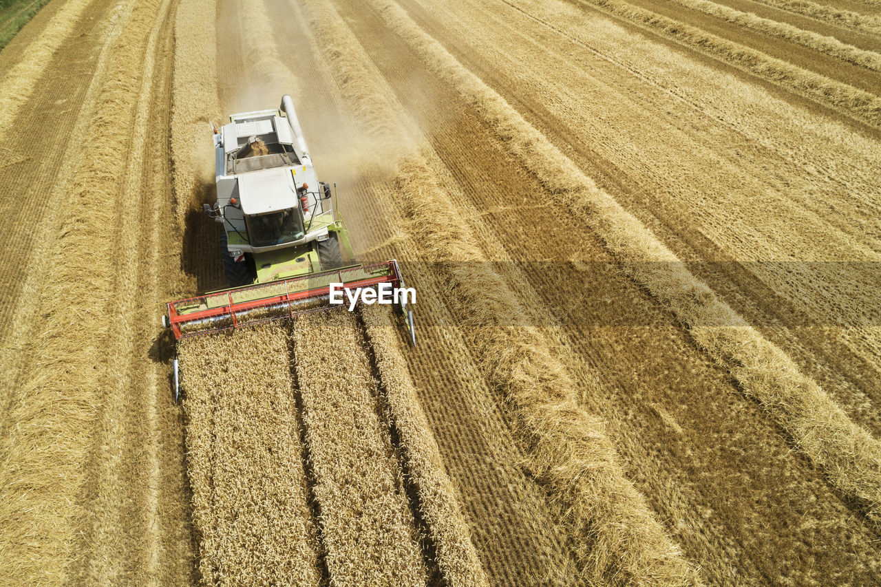 Drone view of combine harvester collecting grain in summer