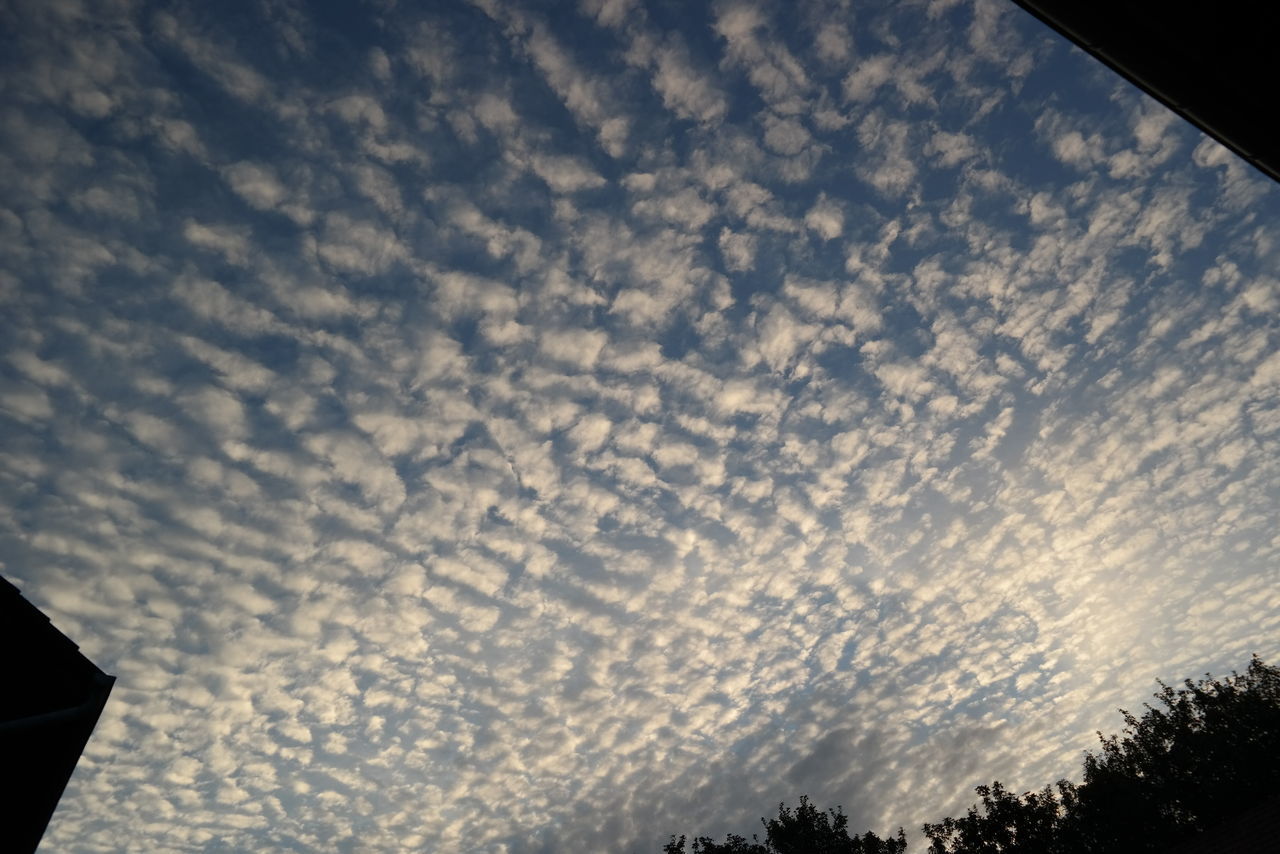 LOW ANGLE VIEW OF CLOUDY SKY