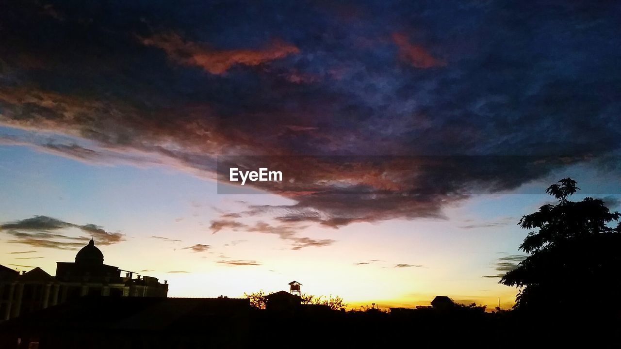 SILHOUETTE OF TREES AT SUNSET