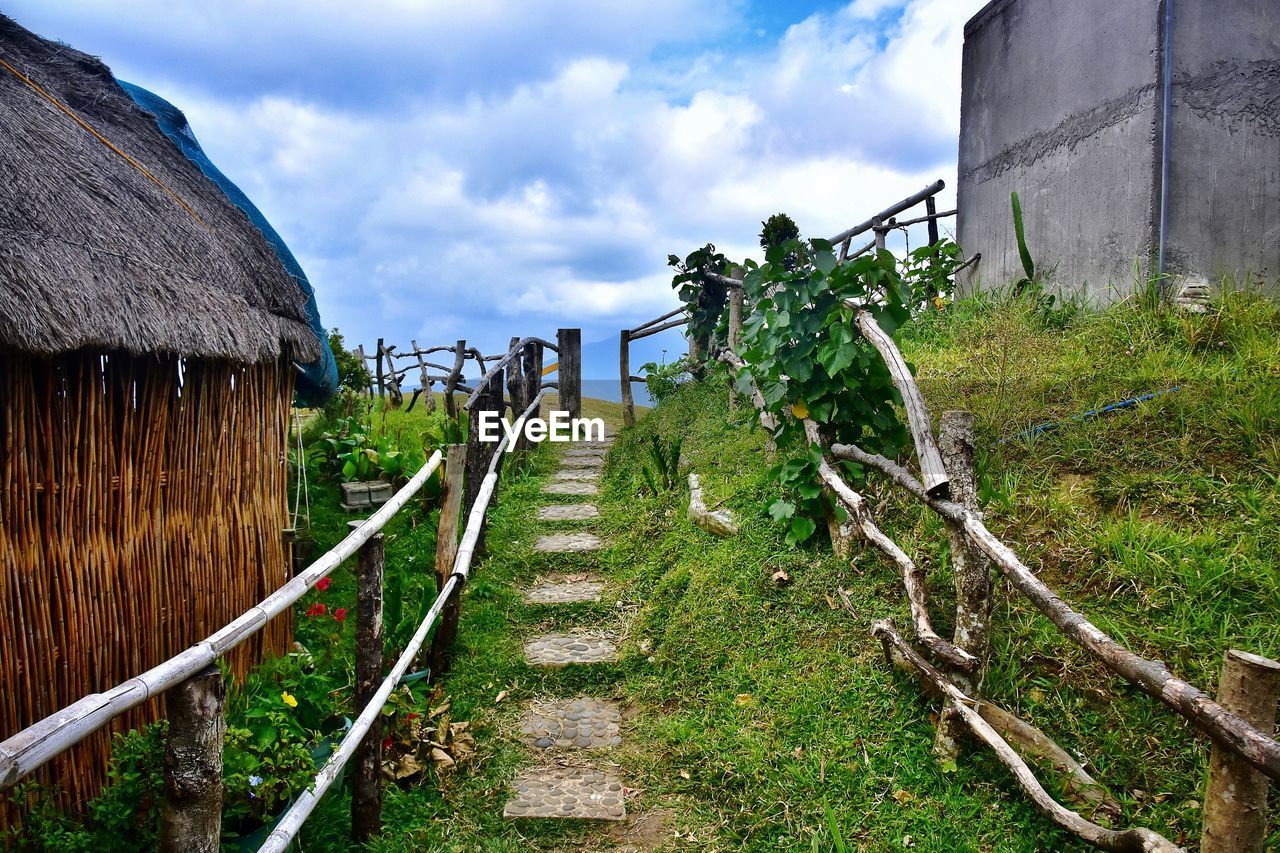 PLANTS GROWING ON LAND