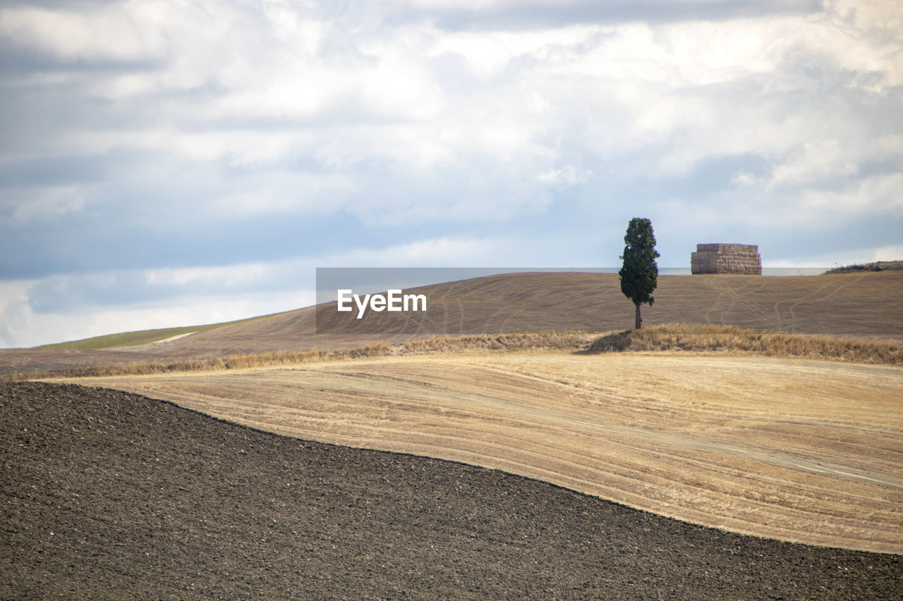 REAR VIEW OF MAN STANDING ON ARID LANDSCAPE