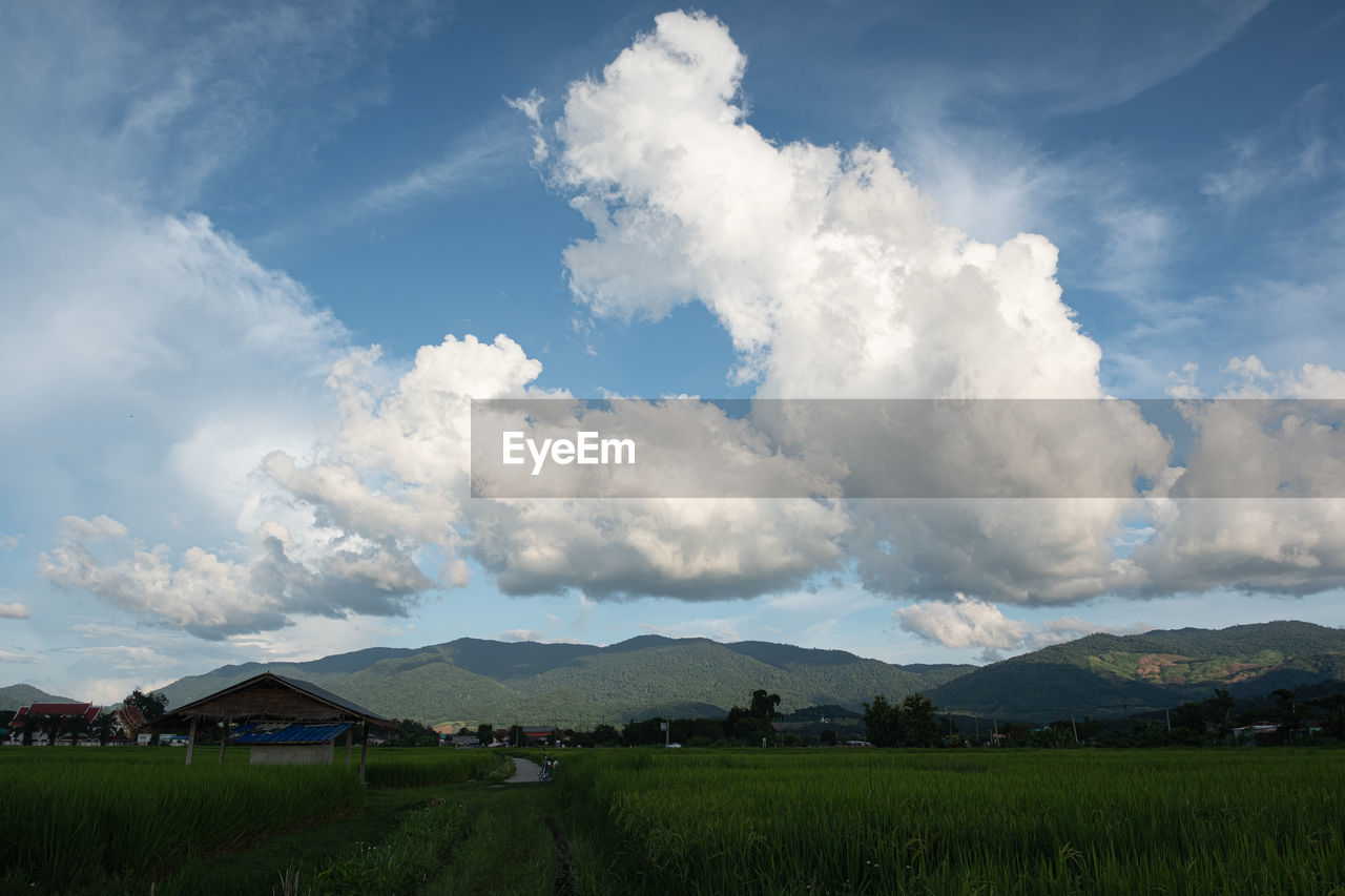 PANORAMIC SHOT OF FIELD AGAINST SKY