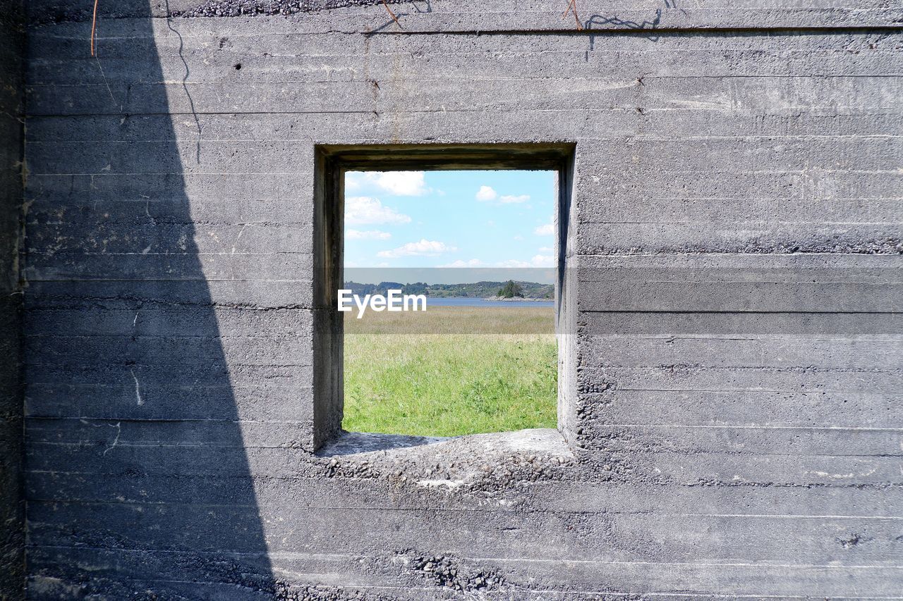 PLANTS GROWING ON FIELD SEEN THROUGH WALL