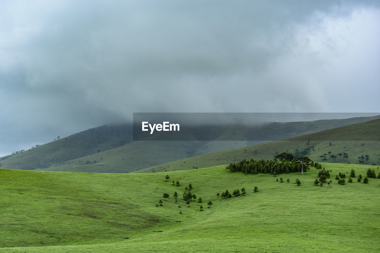 Scenic view of landscape against sky