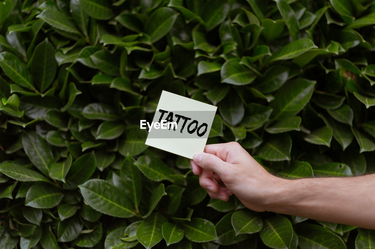 Midsection of man holding post-it with text