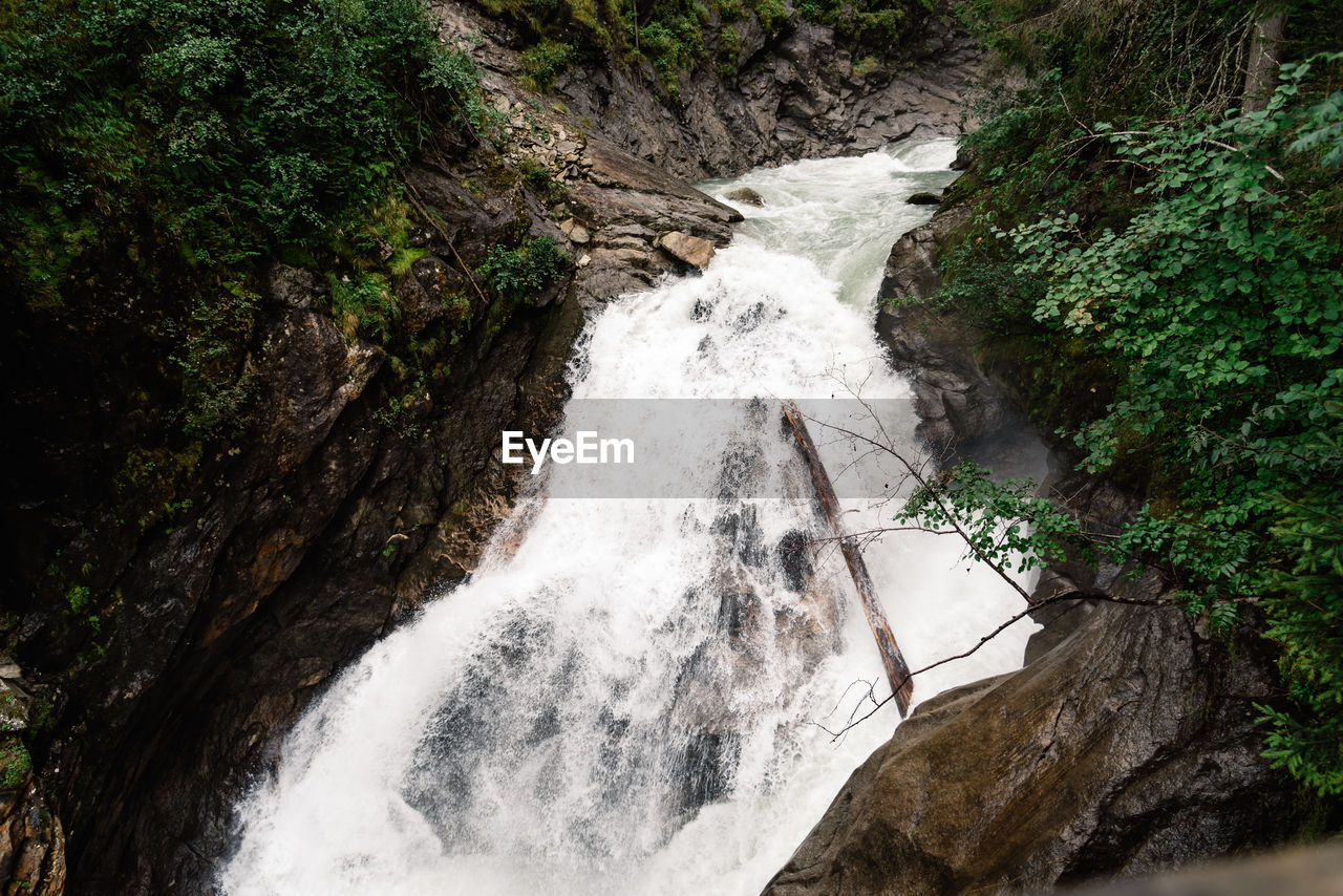 Low angle view of waterfall in forest