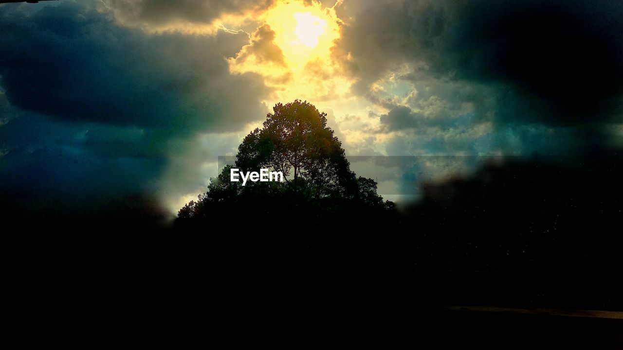 LOW ANGLE VIEW OF SILHOUETTE TREE AGAINST SKY AT SUNSET