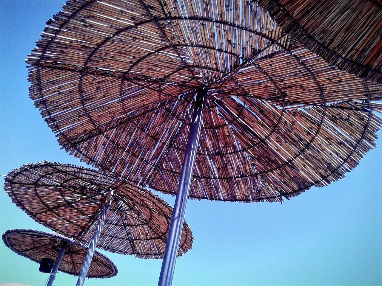 Low angle view of straw umbrellas