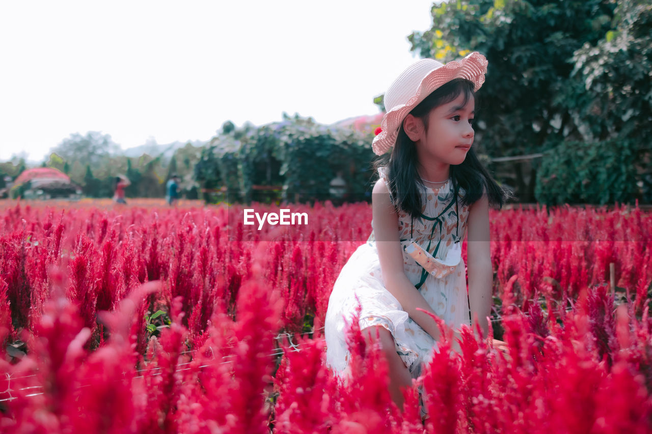 Woman standing by flower field