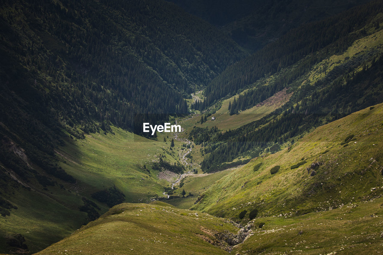 Alpine views from fagaras mountains, romania. summer carpathian landscapes.