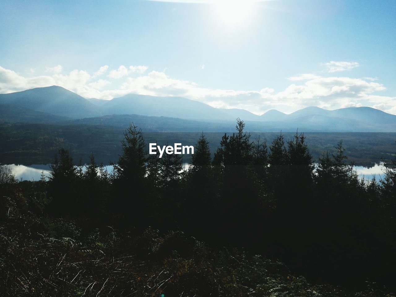 Scenic view of silhouette forest against sky