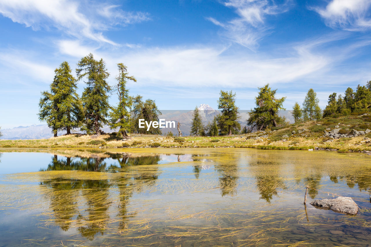 SCENIC VIEW OF LAKE AND TREES