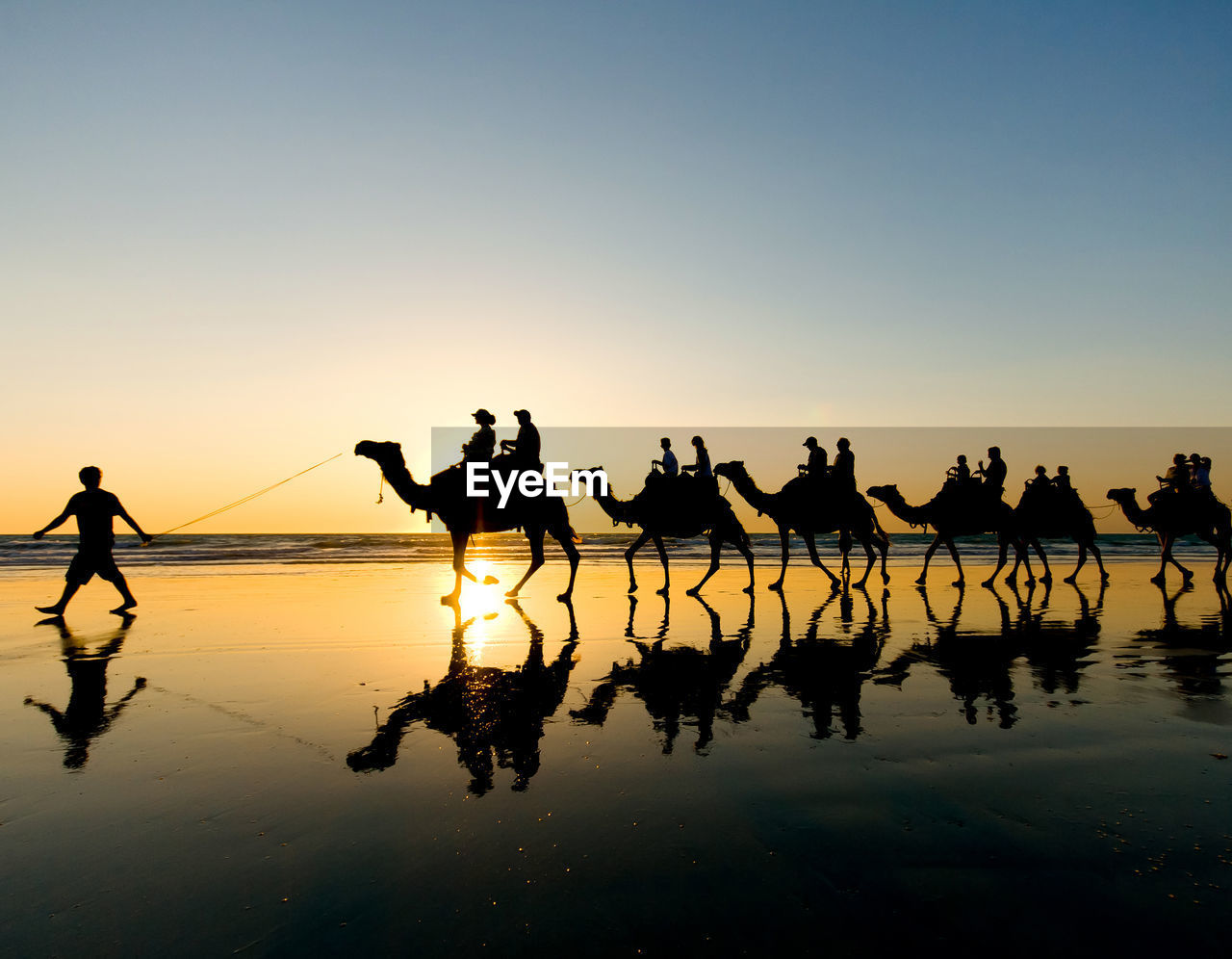 Silhouette people and camels at beach against clear sky during sunset