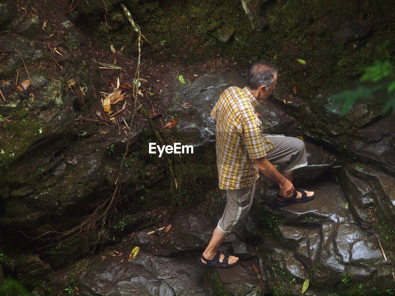 High angle view of man climbing wet rocks in forest