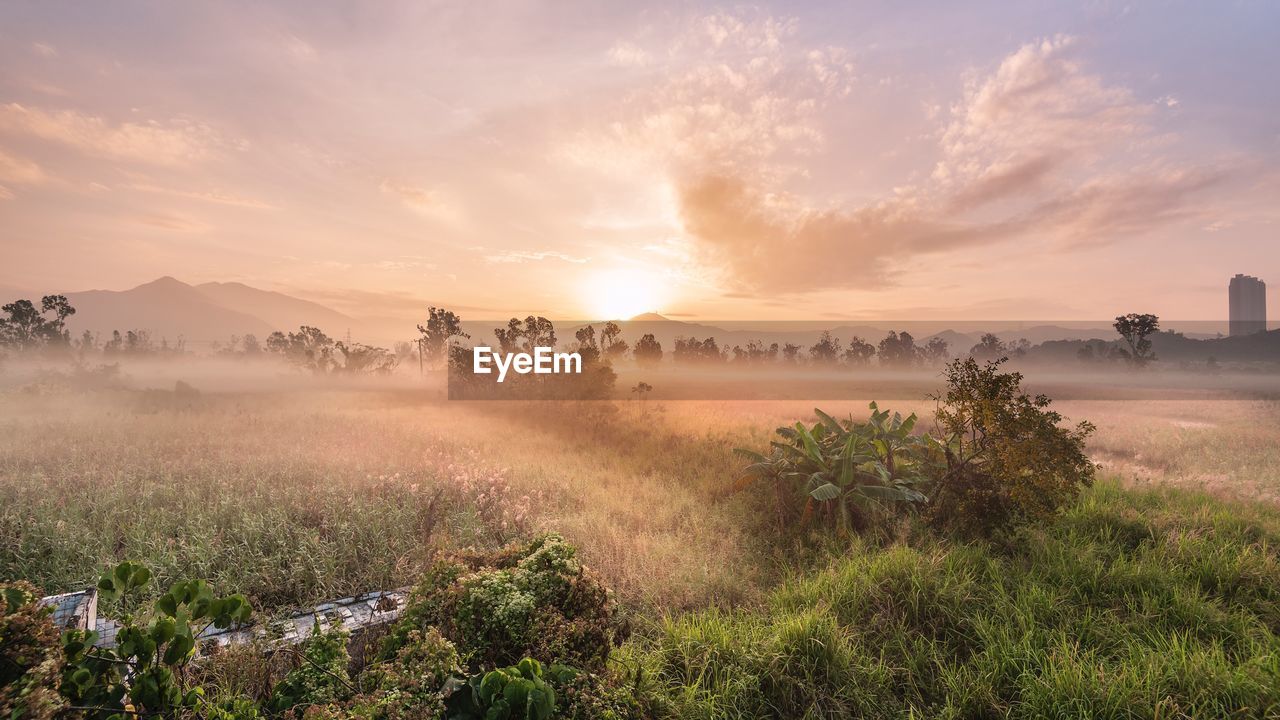 Scenic view of field against sky during sunset